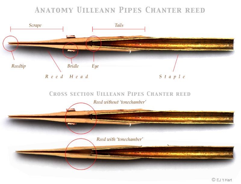 Chanter Reed Cross Section